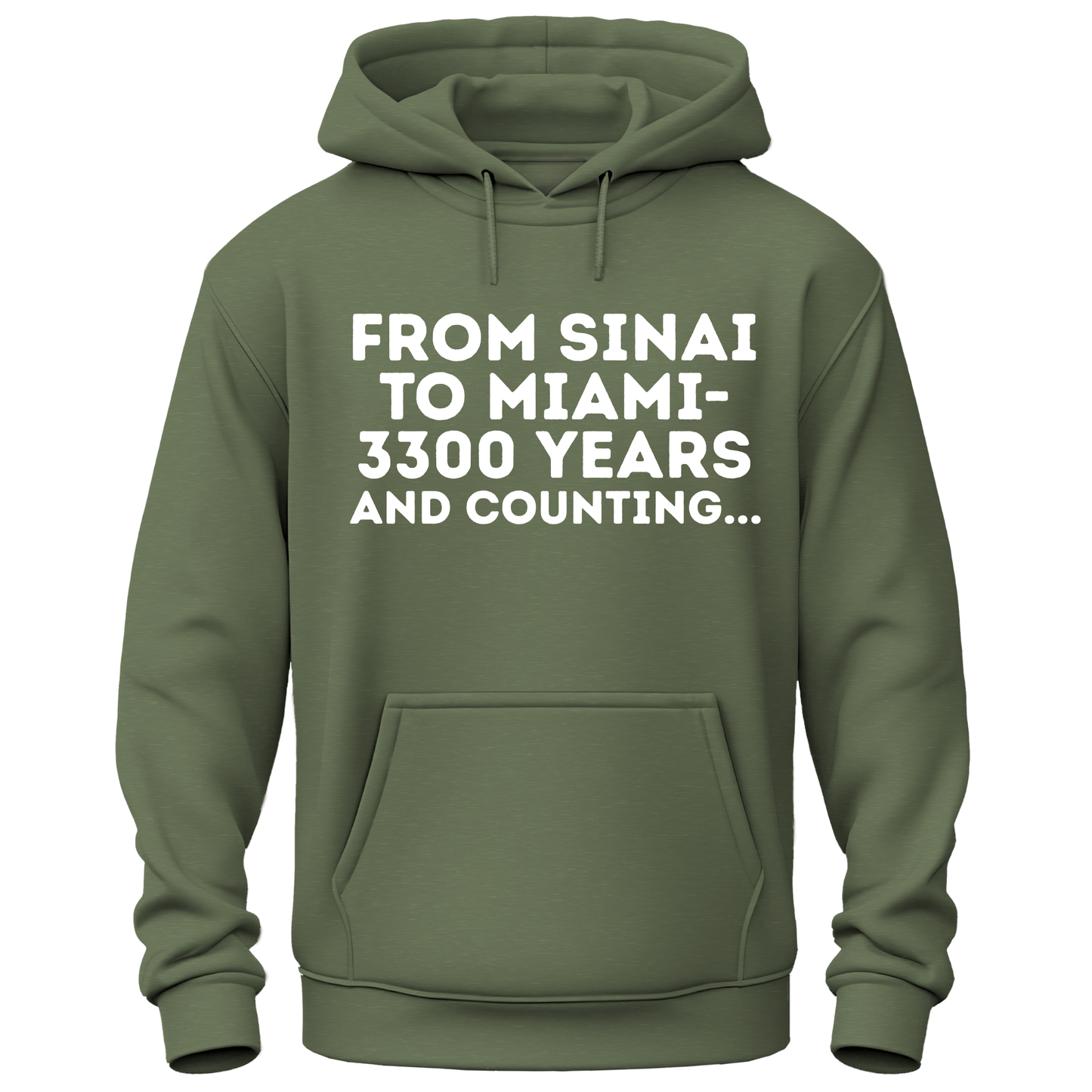 From Sinai To Miami Hoodie