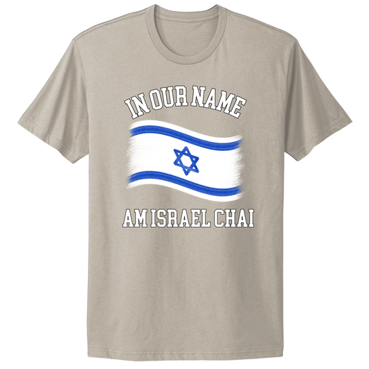 In Our Name Flag T-shirt