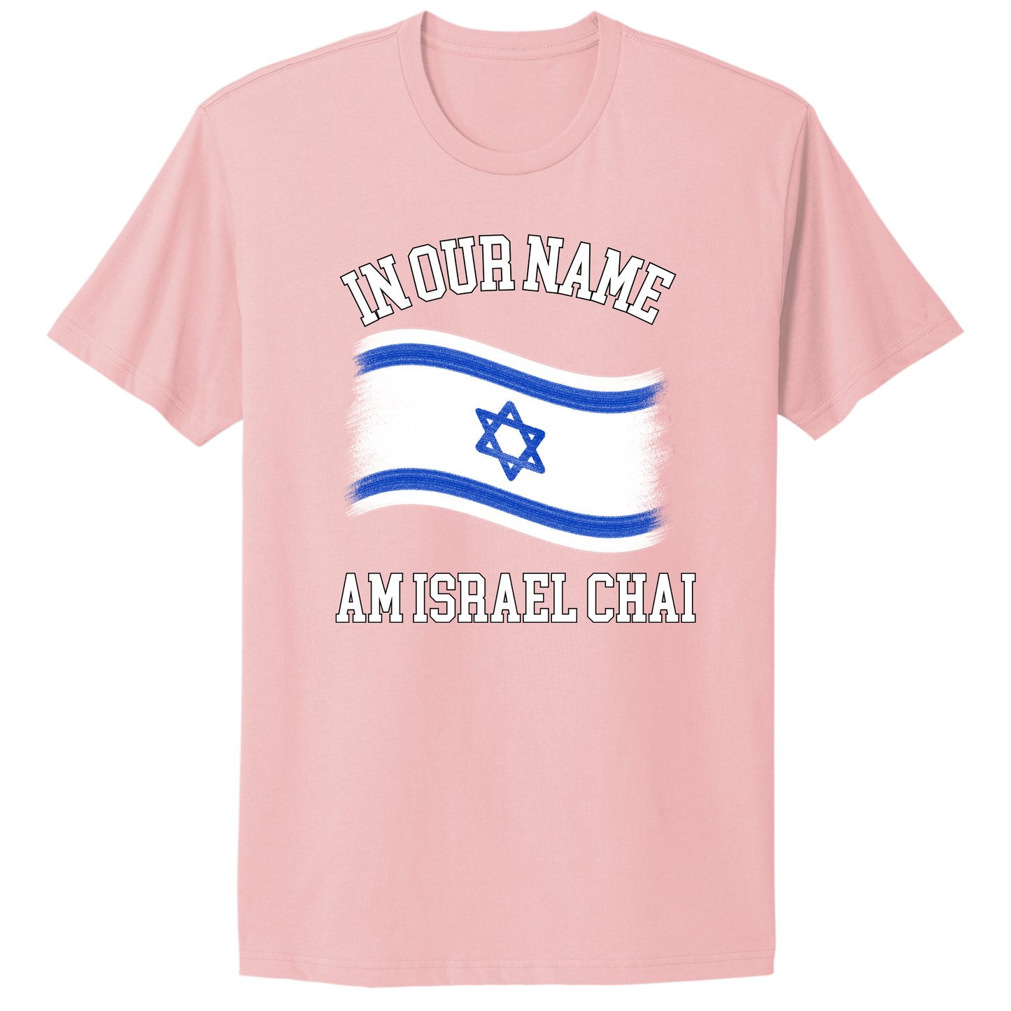 In Our Name Flag T-shirt